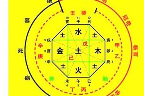 五行 忌神|八字的喜用神与忌神详解